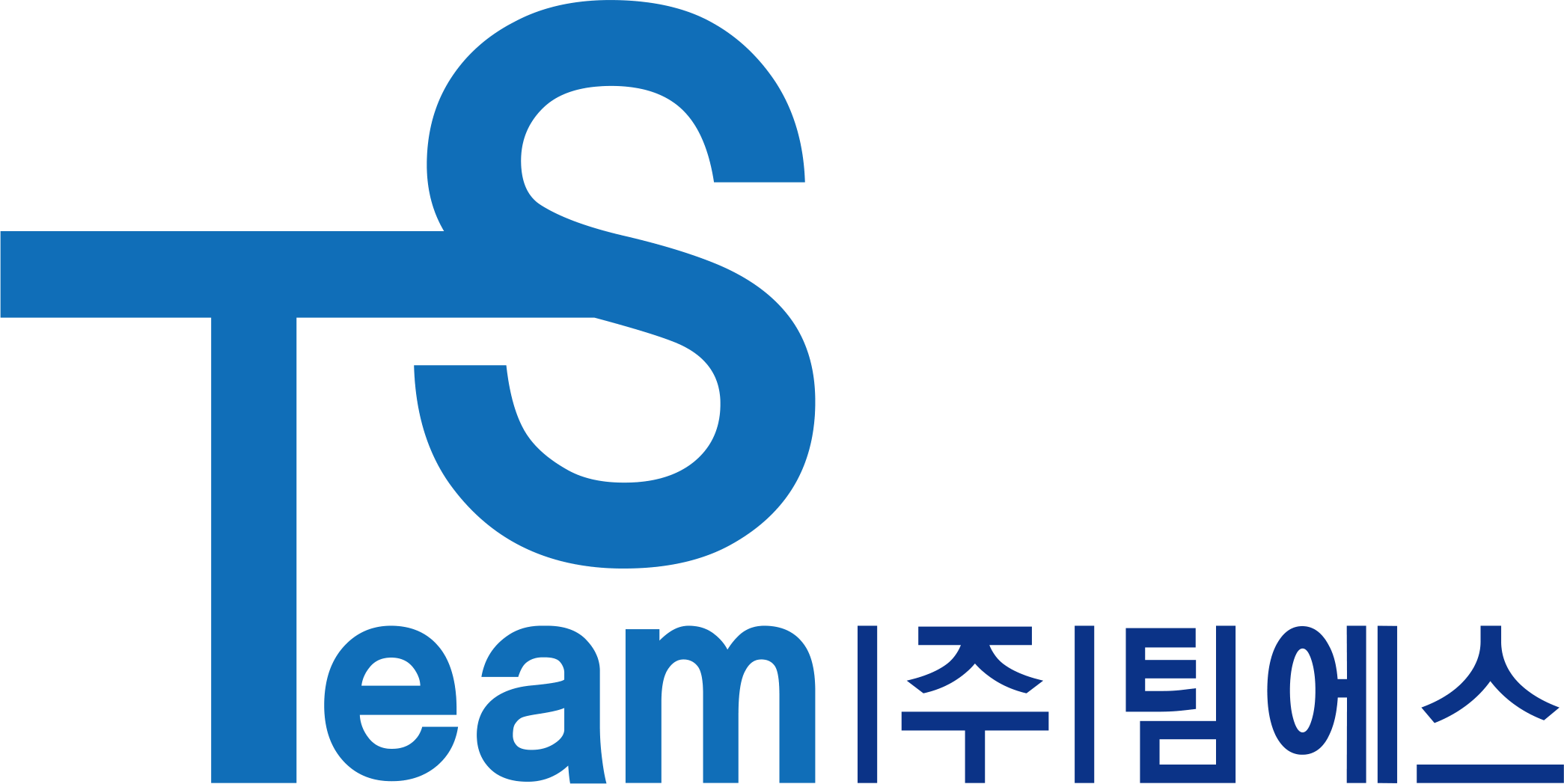 (주)팀에스